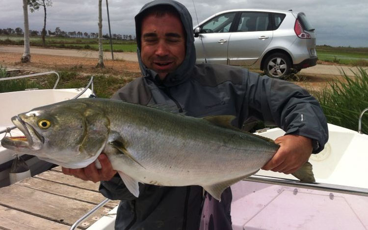 Spanien Ebro Delta Fisch 0009